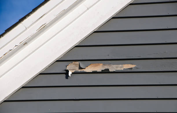 Professional Siding Services in Prices Fork, VA